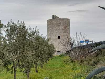 Ritorniamo sulla statale proseguendo verso nord. All�altezza dell�uscita di Bisceglie Sud � impossibile non notare sulla nostra destra la massiccia e ben restaurata Torre Longa, quasi addossata alla strada